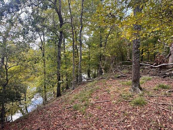 150 Acres of Recreational Land for Sale in Broken Bow, Oklahoma