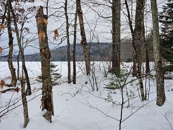 217 Acres of Recreational Land for Sale in Fryeburg, Maine