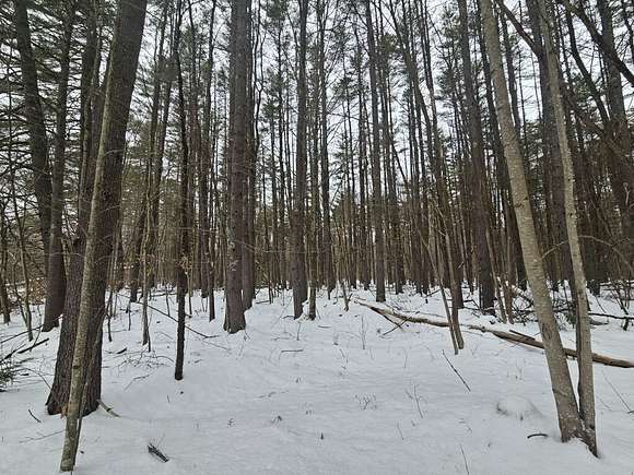 53 Acres of Recreational Land for Sale in Fryeburg, Maine