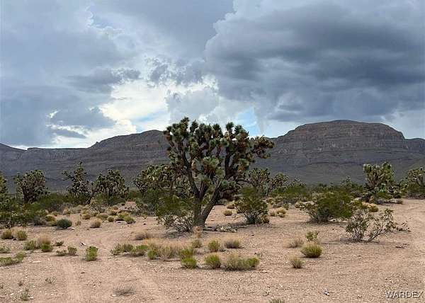 329 Acres of Land for Sale in Meadview, Arizona