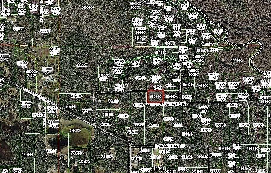 2.27 Acres of Residential Land for Sale in Hernando, Florida