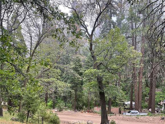 0.138 Acres of Land for Sale in Cedarpines Park, California