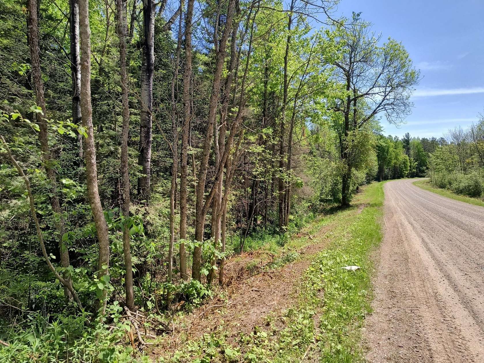 81 Acres of Recreational Land for Sale in Watersmeet, Michigan