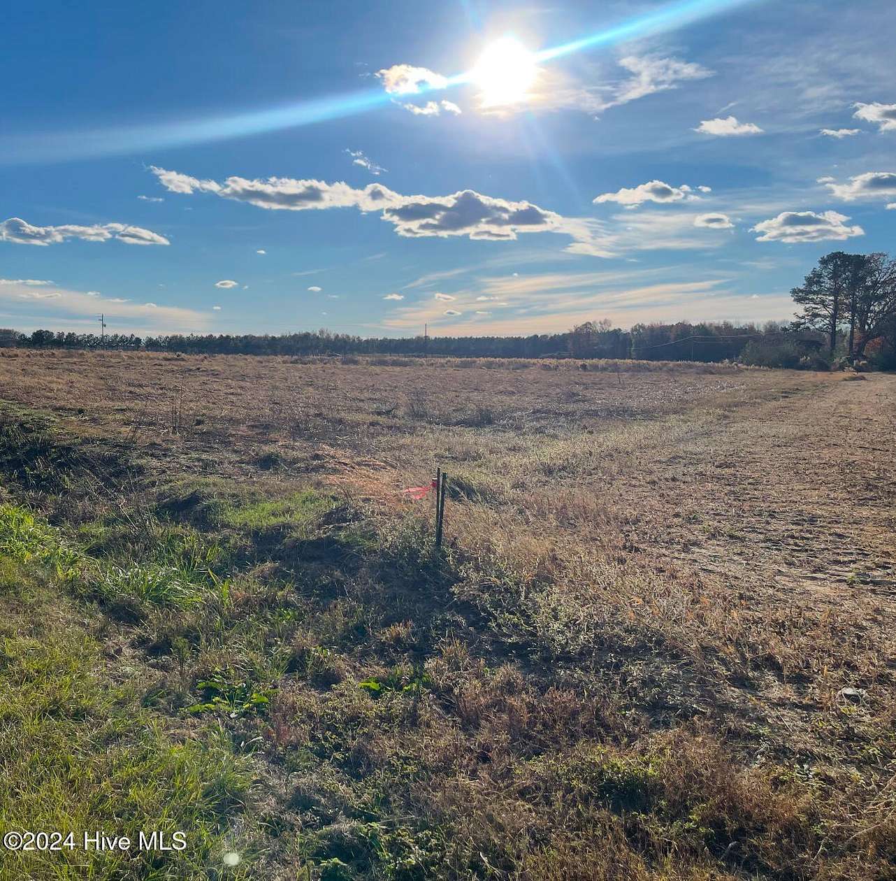 1 Acre of Residential Land for Sale in Whitakers, North Carolina