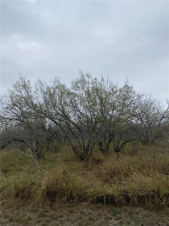 5.056 Acres of Residential Land for Sale in Alice, Texas