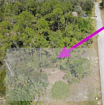 0.5 Acres of Residential Land for Sale in Alva, Florida