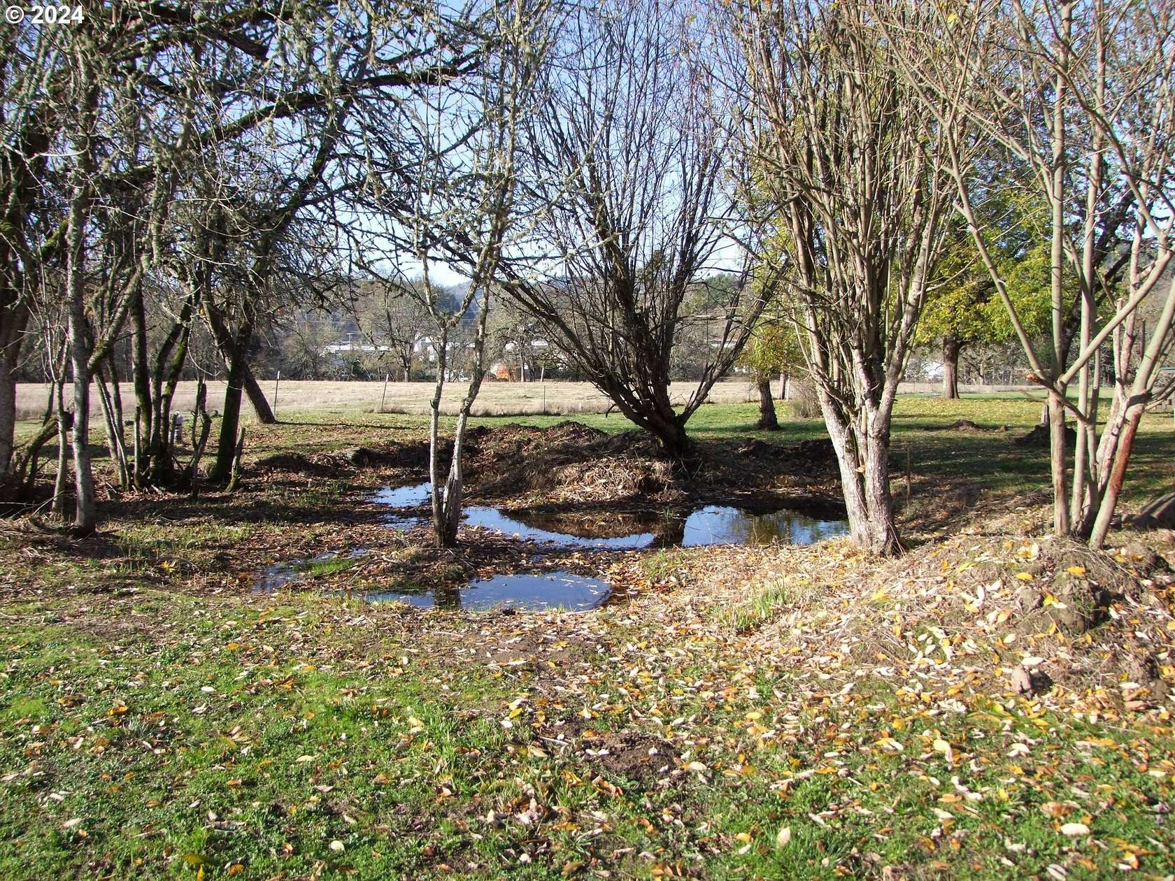 32.79 Acres of Agricultural Land with Home for Sale in Roseburg, Oregon