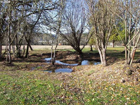 32.79 Acres of Agricultural Land with Home for Sale in Roseburg, Oregon