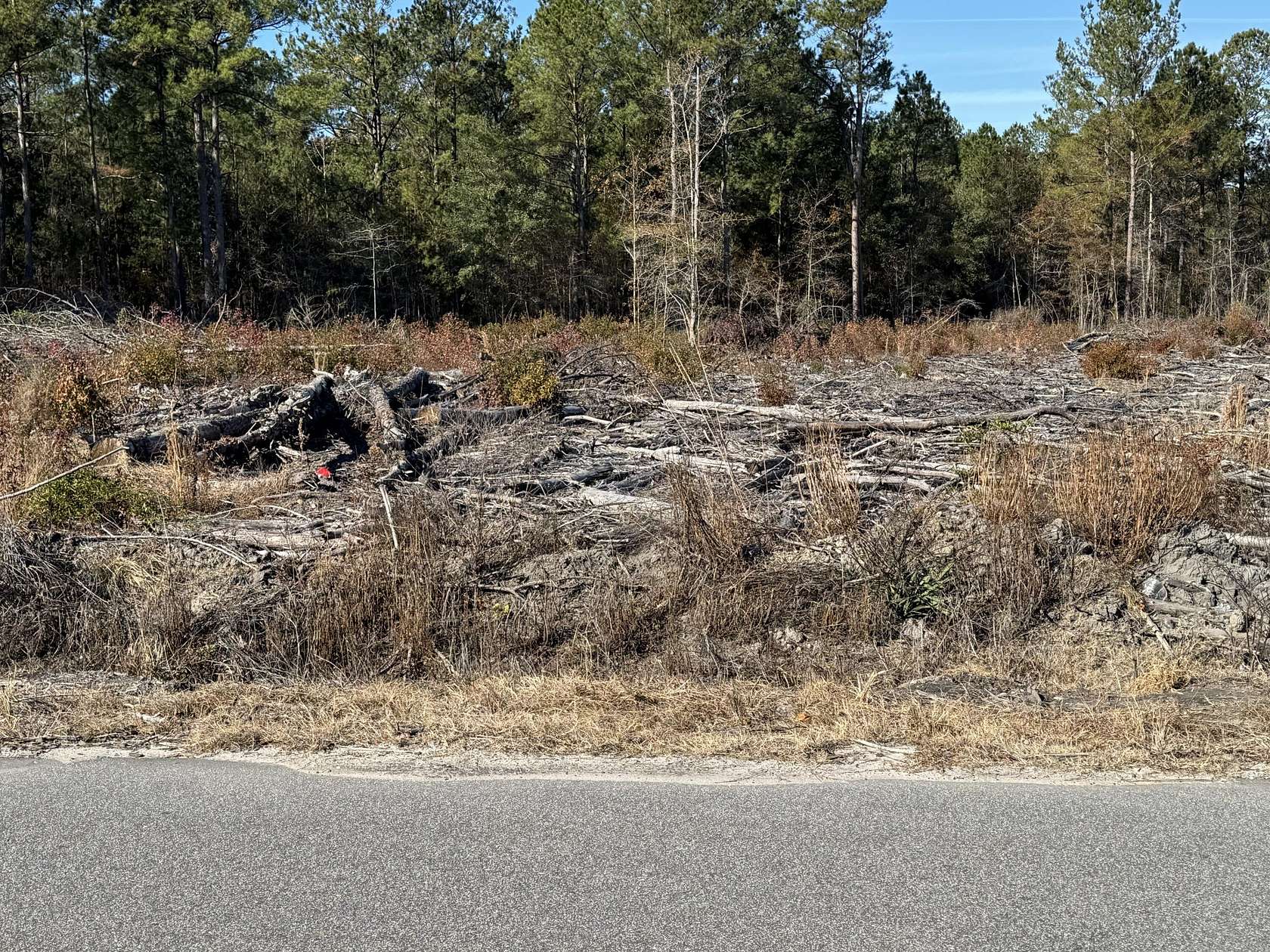 14.1 Acres of Land for Sale in St. Stephen, South Carolina