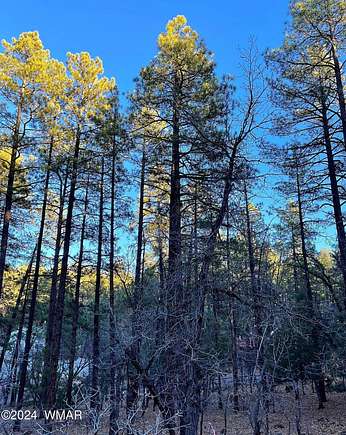 0.35 Acres of Residential Land for Sale in Pinetop, Arizona