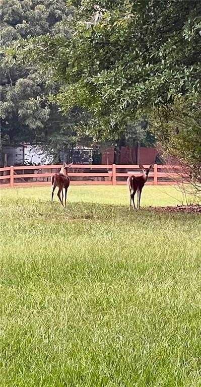 15.76 Acres of Land with Home for Sale in Powder Springs, Georgia