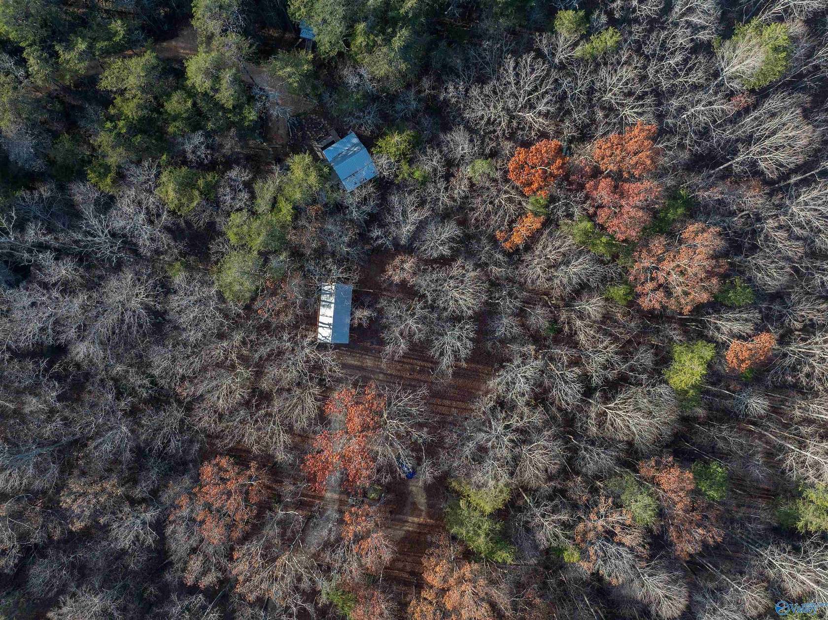 7.4 Acres of Residential Land with Home for Sale in Mentone, Alabama