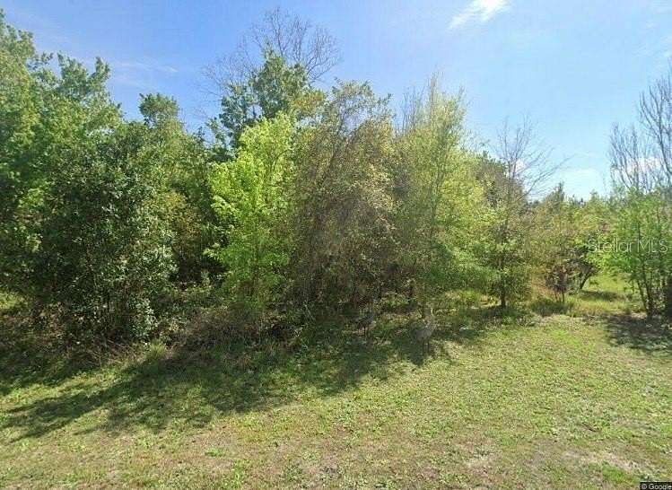 0.45 Acres of Land for Sale in Paisley, Florida