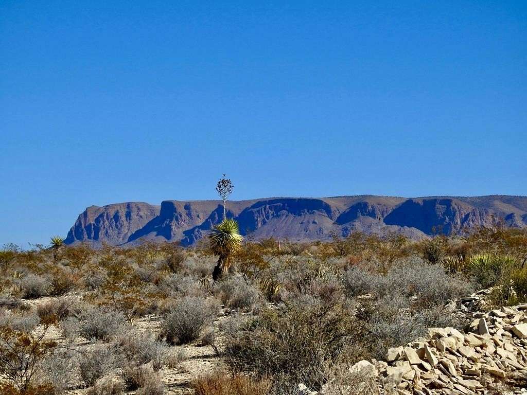 40 Acres of Land for Sale in Terlingua, Texas