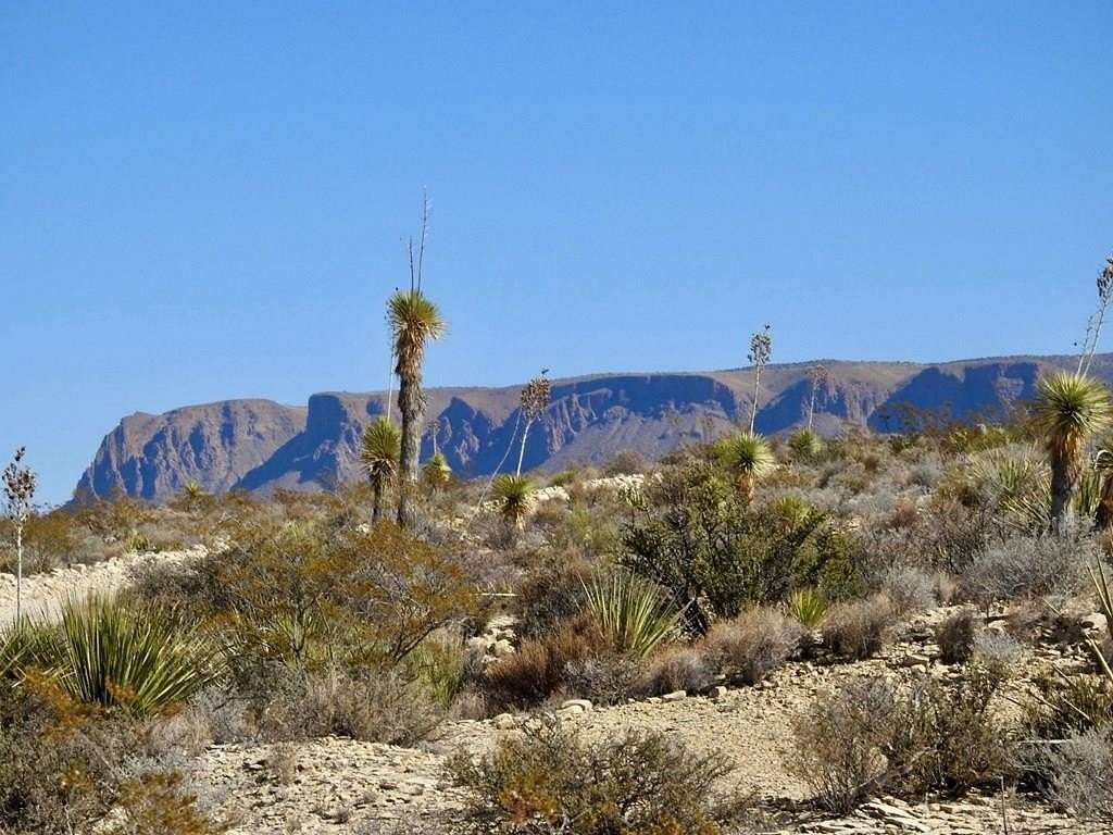 40 Acres of Recreational Land for Sale in Terlingua, Texas