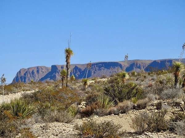 40 Acres of Land for Sale in Terlingua, Texas