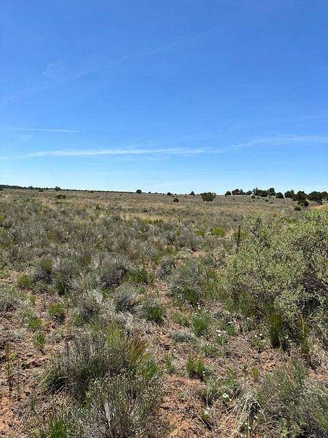 25.2 Acres of Recreational Land for Sale in Pie Town, New Mexico