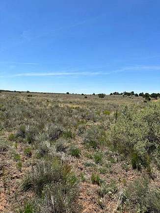 25.2 Acres of Land for Sale in Pie Town, New Mexico