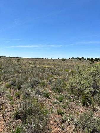 25.2 Acres of Recreational Land for Sale in Pie Town, New Mexico