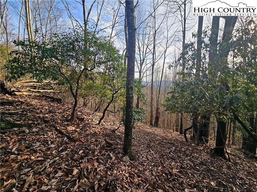 1.18 Acres of Residential Land for Sale in Grassy Creek, North Carolina