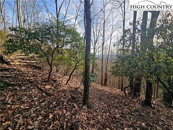 1.18 Acres of Residential Land for Sale in Grassy Creek, North Carolina