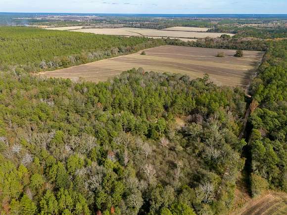 80.57 Acres of Land for Sale in Baker, Florida