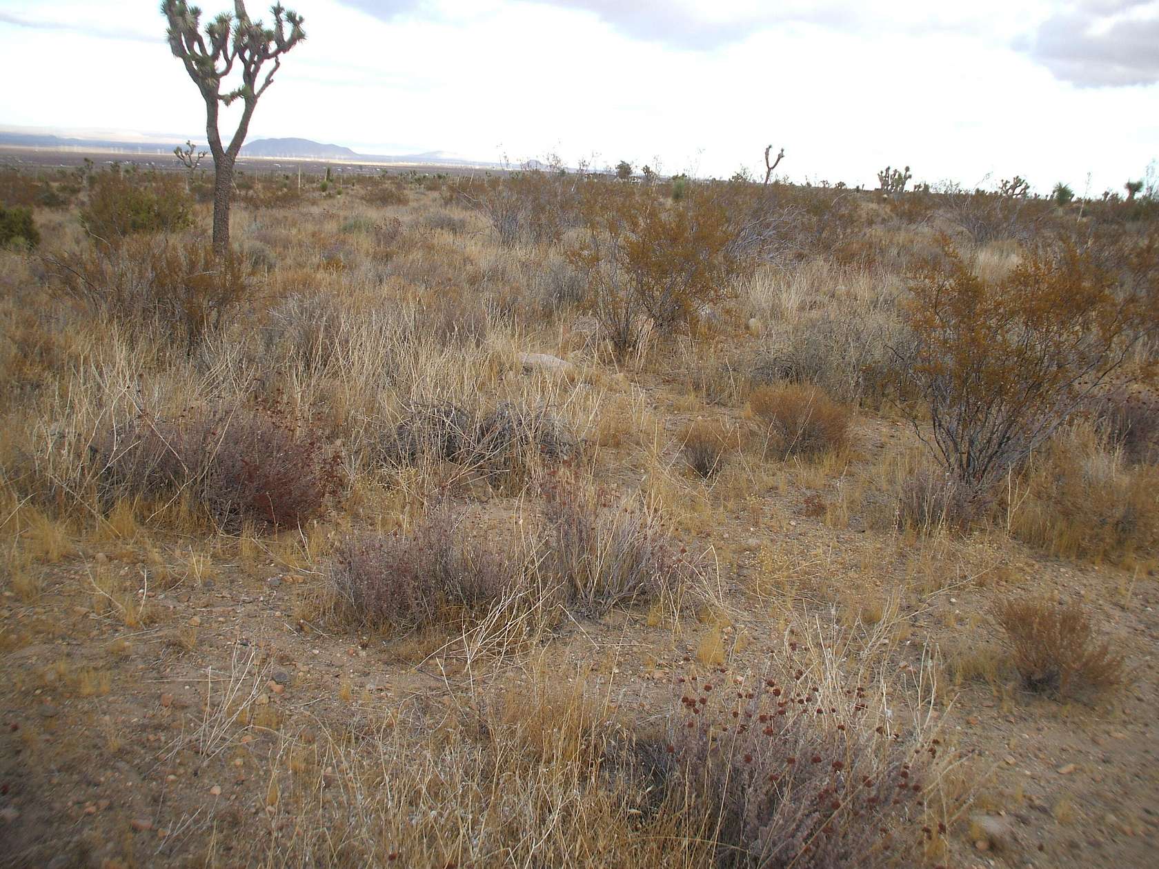 2.505 Acres of Residential Land for Sale in Llano, California