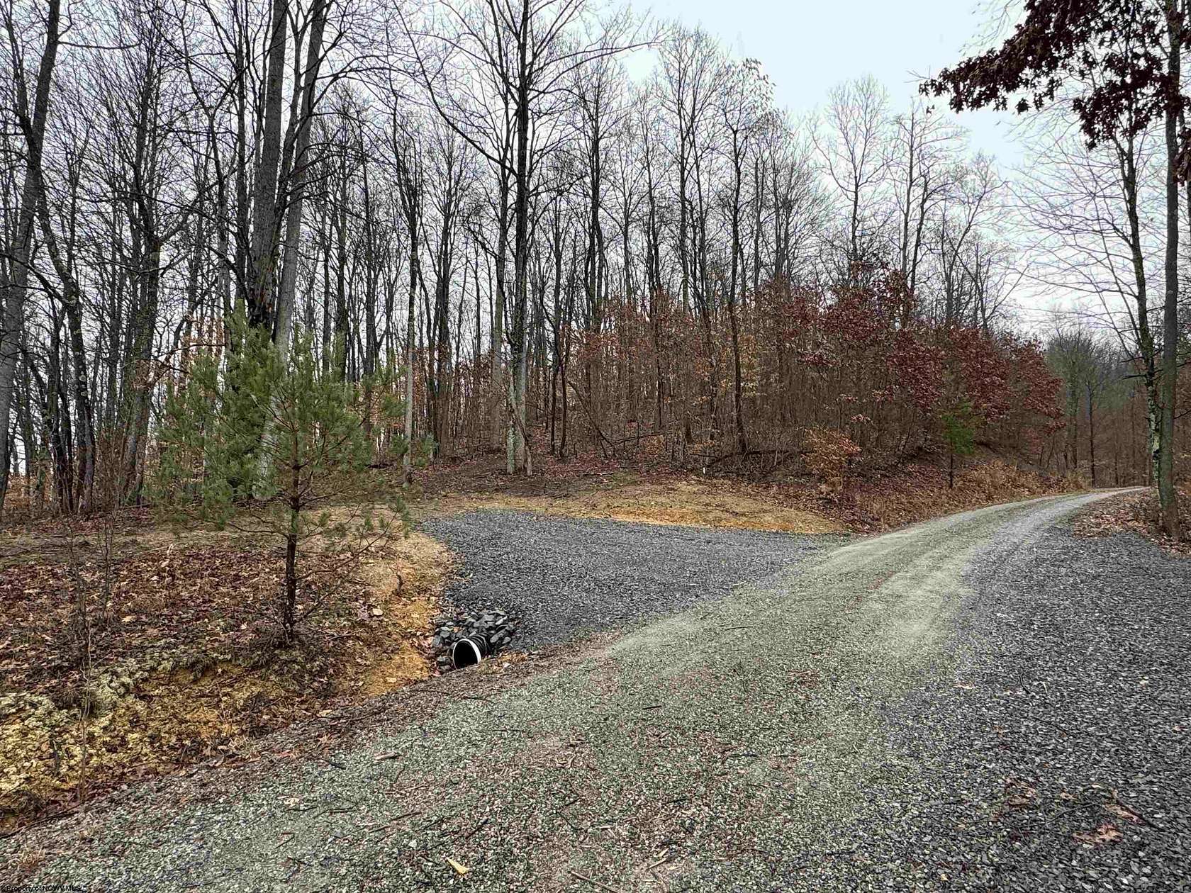 1.2 Acres of Residential Land for Sale in Elkins, West Virginia