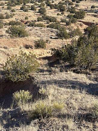 3 Acres of Residential Land for Sale in Medanales, New Mexico