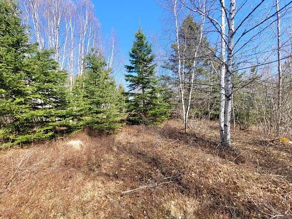 4.6 Acres of Residential Land for Sale in Addison, Maine