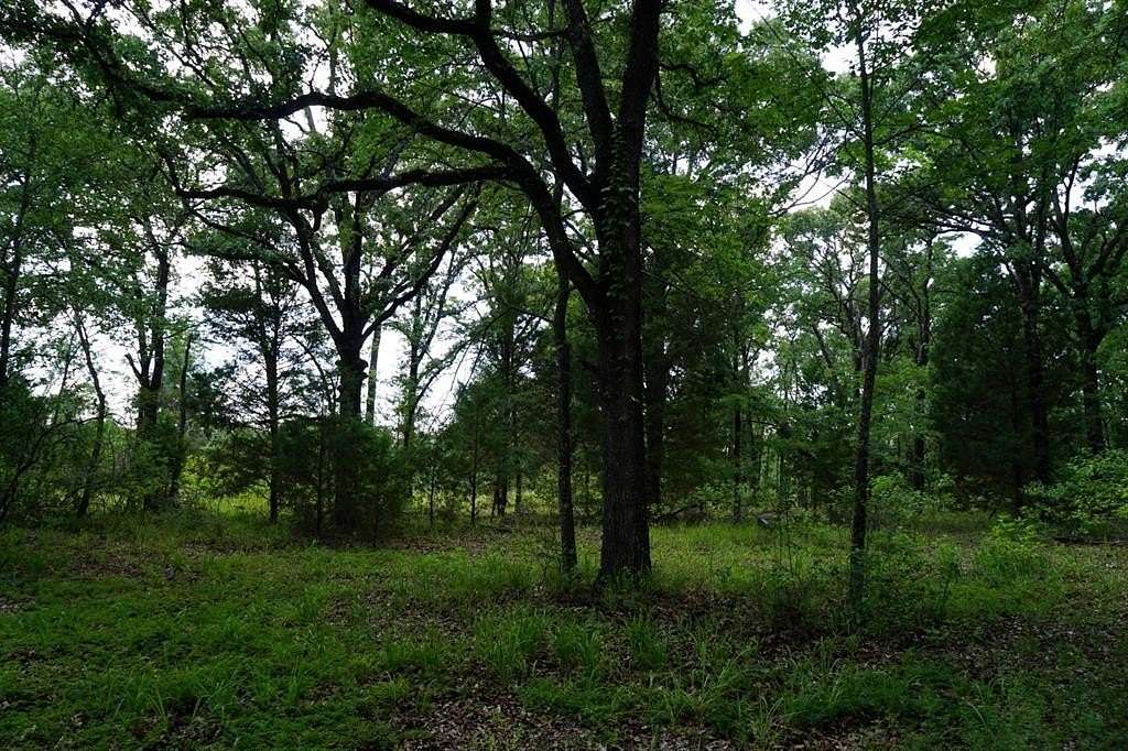 5.425 Acres of Land for Sale in Malakoff, Texas