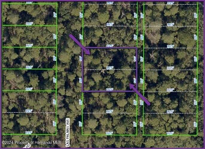 0.29 Acres of Residential Land for Sale in Spring Hill, Florida