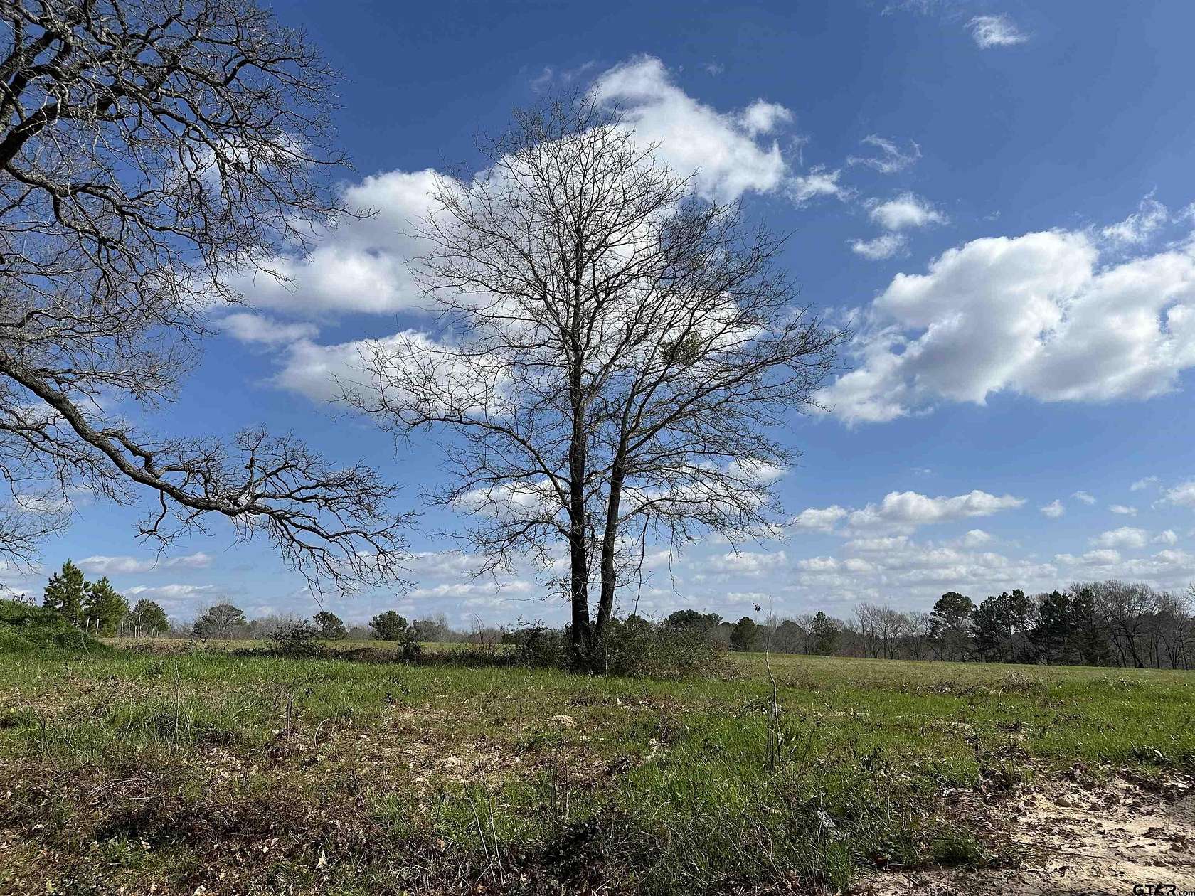 1 Acre of Land for Sale in Henderson, Texas