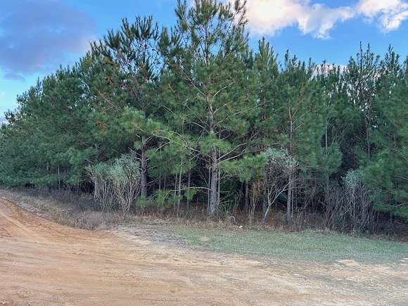 5 Acres of Land for Sale in Hawkinsville, Georgia