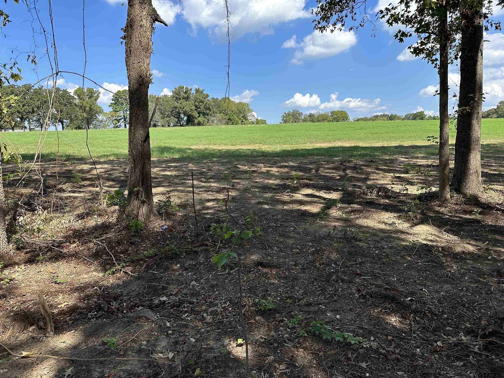 3 Acres of Land for Sale in Henderson, Texas