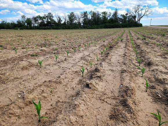 162 Acres of Recreational Land & Farm for Sale in Bushnell, Nebraska