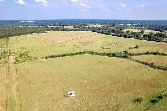 49 Acres of Agricultural Land for Sale in Poplarville, Mississippi