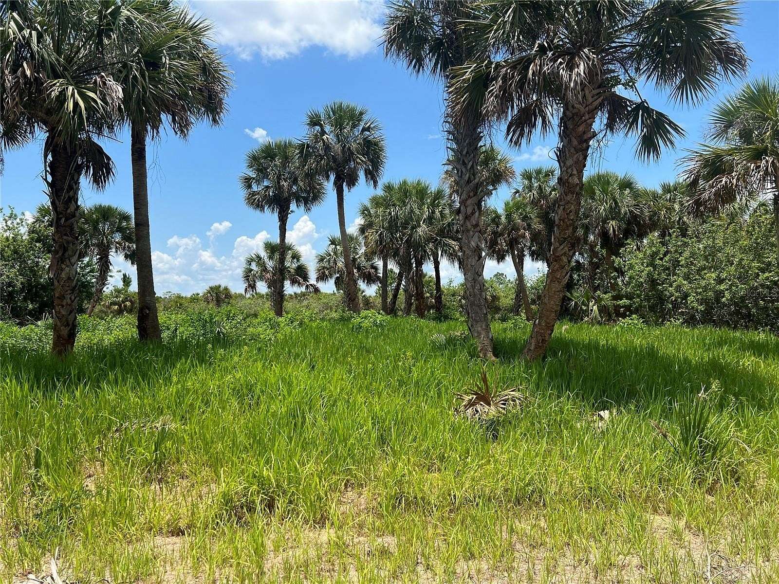 0.23 Acres of Residential Land for Sale in Palm Bay, Florida