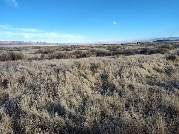 2.5 Acres of Land for Sale in California Valley, California