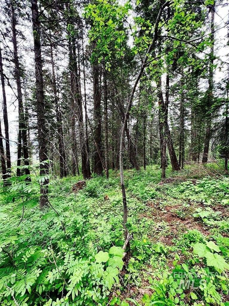 1.06 Acres of Land for Sale in Donnelly, Idaho