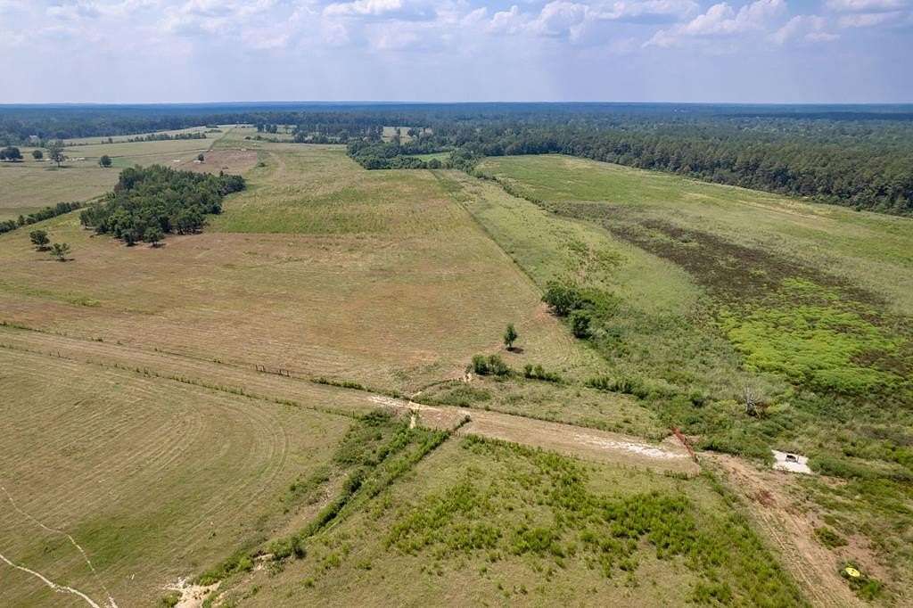 44 Acres of Agricultural Land for Sale in Poplarville, Mississippi