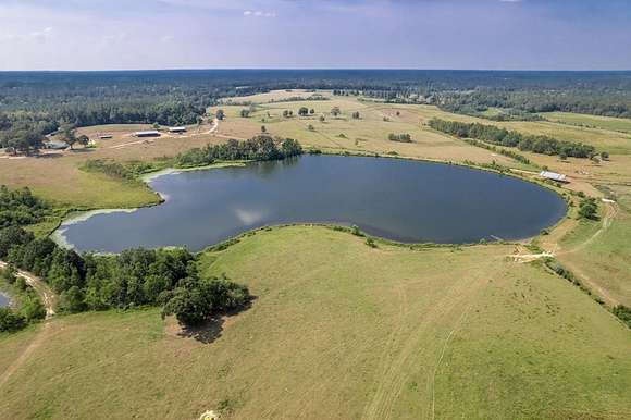 400 Acres of Agricultural Land with Home for Sale in Poplarville, Mississippi