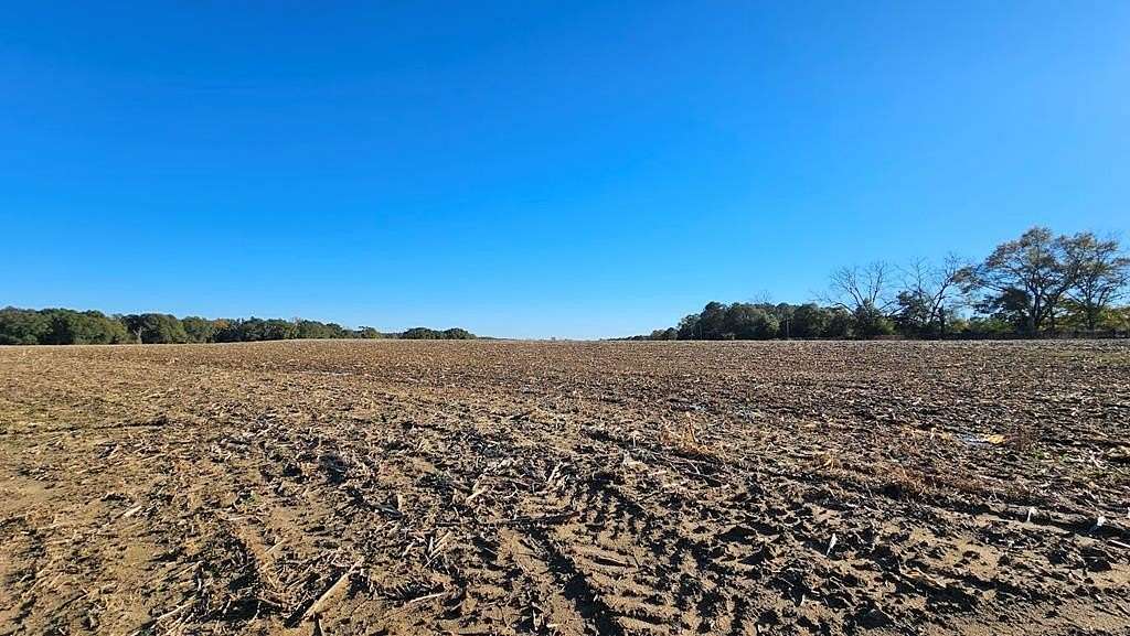 92.15 Acres of Agricultural Land for Sale in Ozark, Alabama