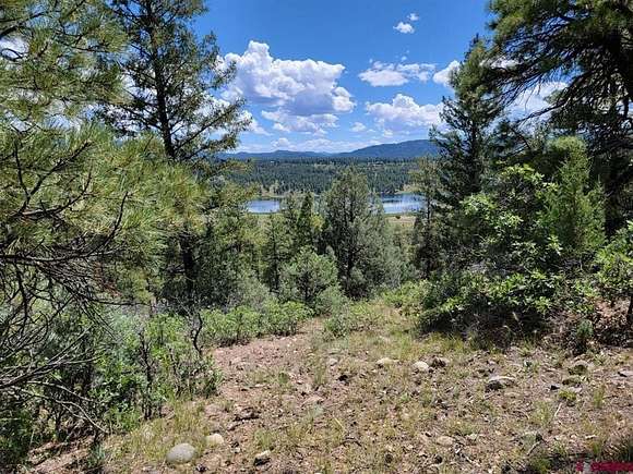 2.5 Acres of Residential Land for Sale in Pagosa Springs, Colorado