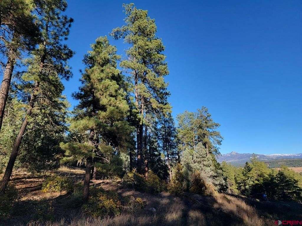 2.5 Acres of Residential Land for Sale in Pagosa Springs, Colorado