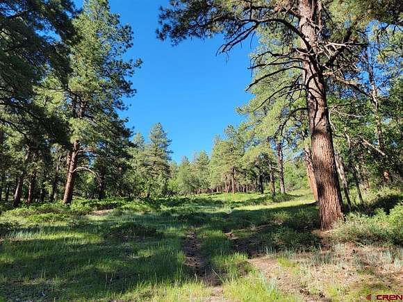 40 Acres of Agricultural Land for Sale in Pagosa Springs, Colorado