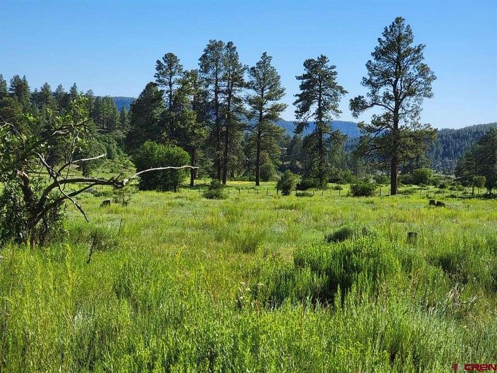 12 Acres of Land for Sale in Pagosa Springs, Colorado