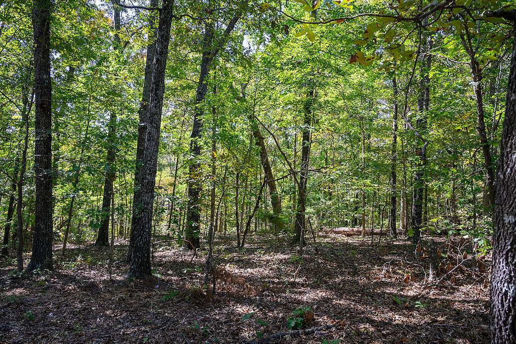 0.28 Acres of Residential Land for Sale in Horseshoe Bend, Arkansas