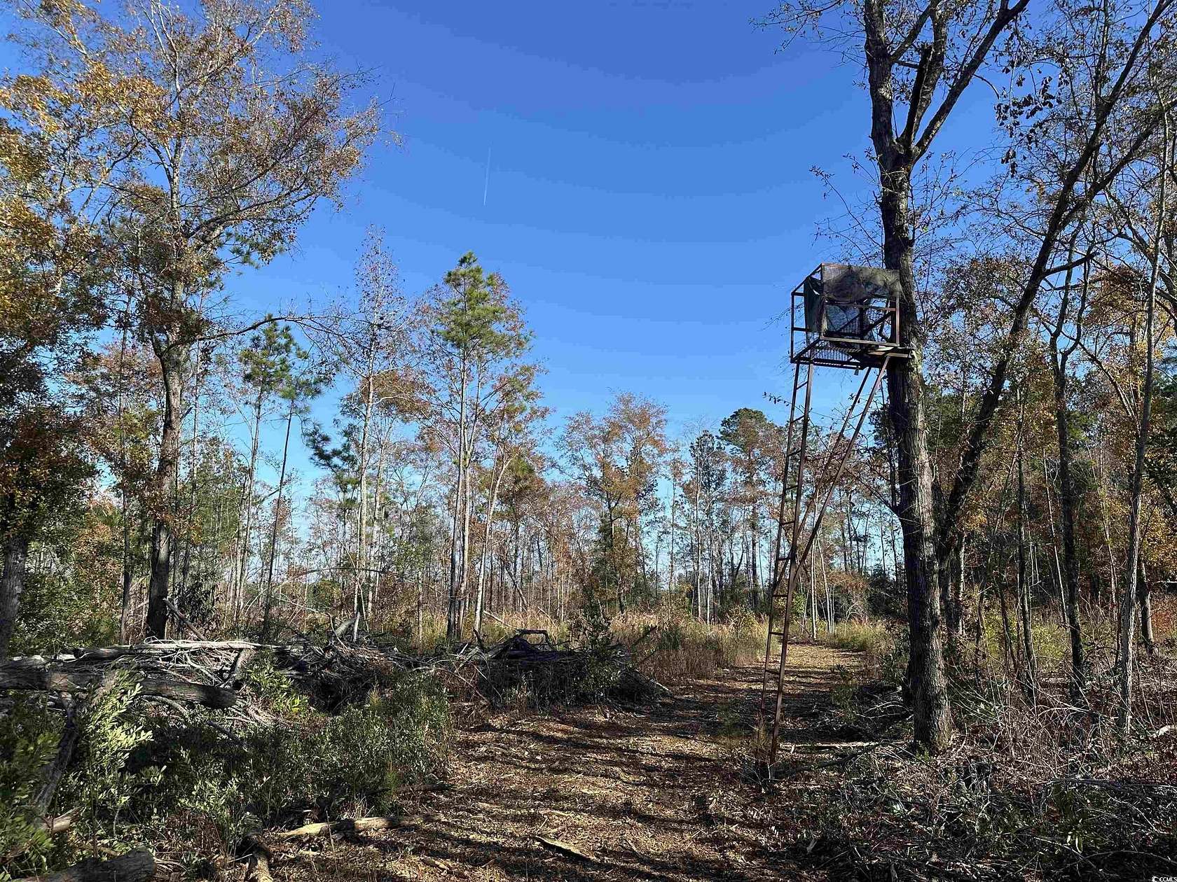 25 Acres of Recreational Land for Sale in New Zion, South Carolina