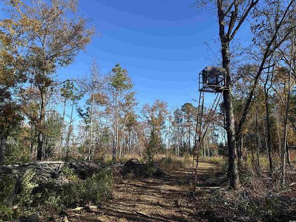 25 Acres of Recreational Land for Sale in New Zion, South Carolina